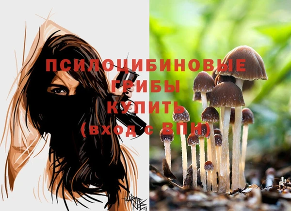 гашишное масло Бородино