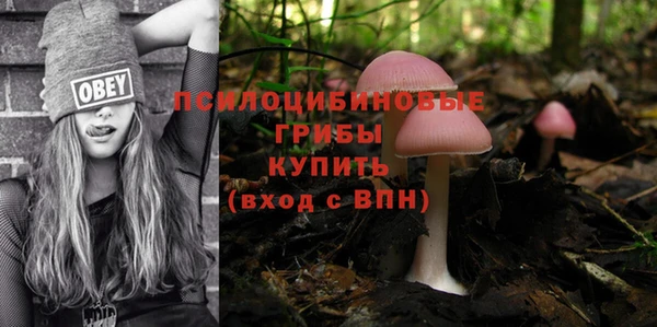 ешки Бугульма