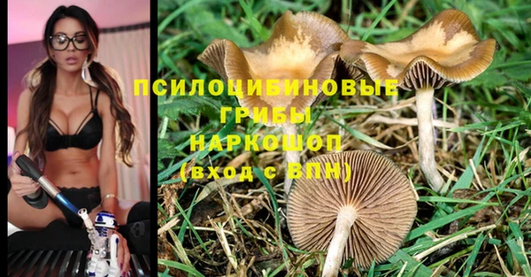 ешки Бугульма
